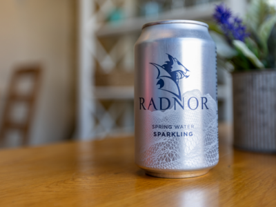 Image of a silver can of Radnor Sparkling Water